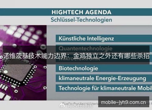 诺维茨基技术能力边界：金鸡独立之外还有哪些杀招